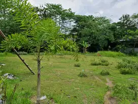 Tanah Pekarangan Siap Bangun di Plesungan Gondangrejo Solo