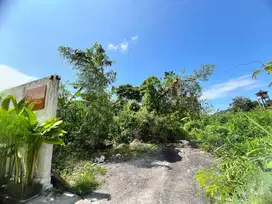 Tanah Mas Ubud Gianyar Bali Lingkungan Villa