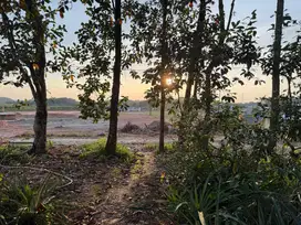 DIJUAL TANAH LUAS TANJUNG BARANGAN PALEMBANG
