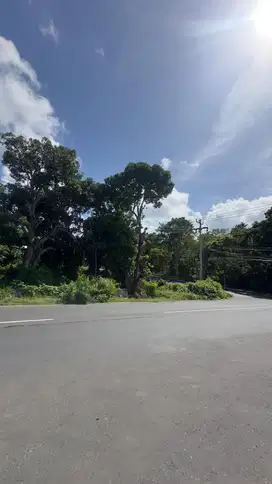 Dijual Tanah Komersial Jl Raya Kampus Udayana Jimbaran