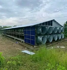 Di jual kandang ayam boiler di purwakarta