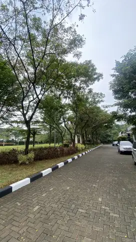 KAVLING BADAN 300 meter De Park Cajuputi BSD DEPAN TAMAN PANJANG