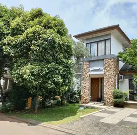 Disewa Rmh BSD 2 Cluster Amarilla, THE AVANI, BSD