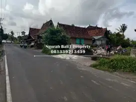 Disewa Tanah Super  Luas 2200 m2 di Katik Lantang Ubud
