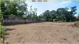 Luas 302 M2 Dijual Tanah Kos Pekarangan Sleman 5 Menit Kampus UII