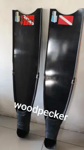 Longfins leaderfins