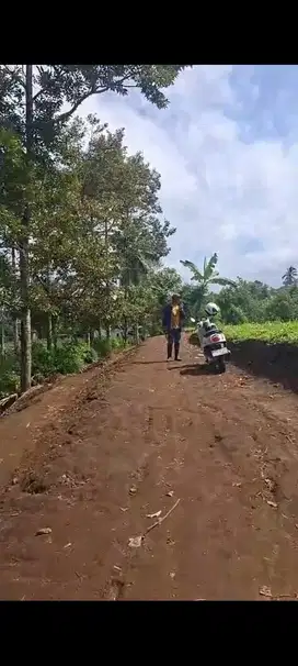 Tanah Kavling Embung Purboyo Tajinan Malang