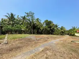Dekat Wates Kota, Tanah Kulon Progo 15 Menit Bandara YIA Jogja