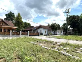 Jual Murah Tanah Berbah Sleman, SHM P