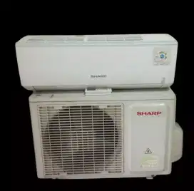 AC second 1/2 pk