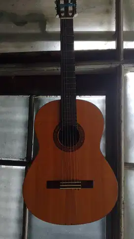 Gitar Akustik YAMAHA C315 Original