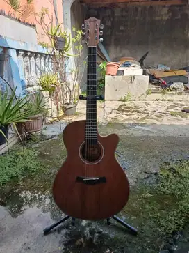 Gitar akustik elektrik Gwc 235 ns