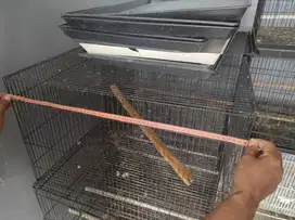 JUAL KURUNGAN BURUNG DOMISILI MALANG