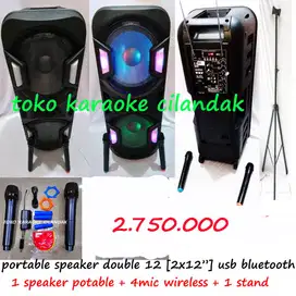 portabele 12 4 mic