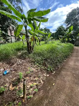 Jual Tanah Kp. Cibarengkok, Gn. Sindur, Bogor