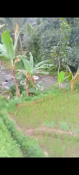 Jual tanah pekarangan dekat sungai lokasi jenawi lt 750m hrg 500jt neg