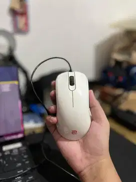 Mouse Gaming Pro ZOWIE BENQ FK2