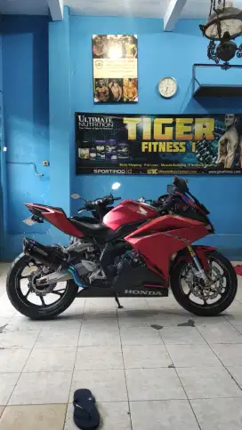 Honda CBR 250RR