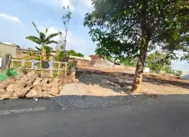 Tanah ums TERMURAH