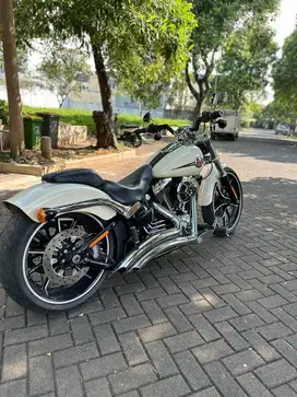 HD breakout 2014 FP mulus