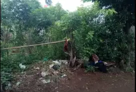 DIJUAL TANAH BSD