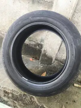 Ban Brigstone ecopia 195/55 R16 2022