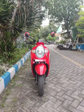 Scoopy 2019 b u