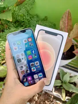 Iphone 12 white