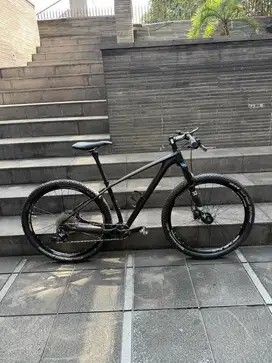 Sepeda MTB Carbon S works