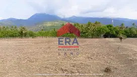 Dijual dan Disewakan Tanah 3 Are di Desa Obel-Obel , Lombok Timur