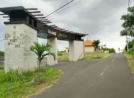 Di jual murah tanah kapling, Lokasi kalibukbuk grand lovina, singaraja