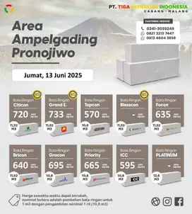 BATA RINGAN AMPELGADING