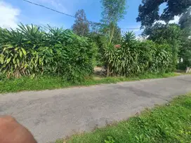 JUAL TANAH PROSPEKTIF DEKAT PASAR SATREYAN KANIGORO BLITAR