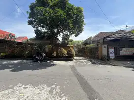 Tanah Langka Bunga Bunga Cengger Ayam dkt suhat