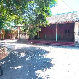Rumah Gebyok Luas dan Strategis Dekat Jalan Utama di Gatak