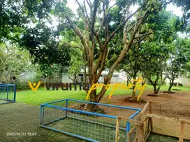 VTH0128 - Jual Cepat ! Tanah, Jl. Buaran PLN Raya, Cikokol, Tangerang