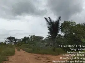 TANAH LAPANG DI LOKASI STRATEGIS BANGKA BELITUNG