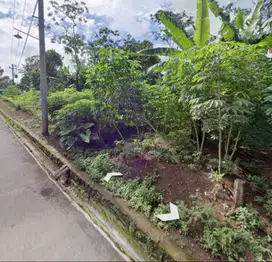Dijual Tanah Pekarangan