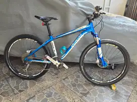 Sepeda MTB Specialized Rockhooper uk. 15,5