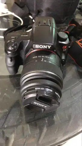 Sony Alpha 37
Model name SLT-A37
18-55mm Zoom Lens