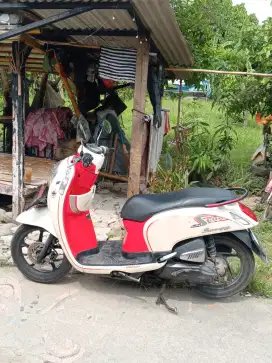 Honda Scoopy 2013
