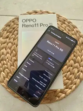 Oppo Reno 11 Pro 5G 12/512gb