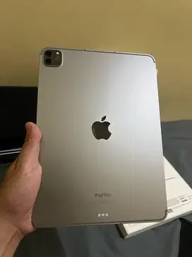 Ipad pro m2 generasi 4 11inch 256gb wifi +celuler
