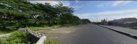TANAH POROS JALAN RAYA PURWOSARI PURWODADI PASURUAN JAWA TIMUR
