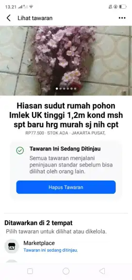 Hiasan sudut rumah pohon meihua kond spt baru mgkn ada yg tertarik nih