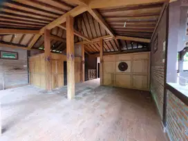 Rumah Etnik Jawa Siap Pakai dengan Tanah Super Luas