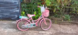 Sepeda anak Trex pink 18
