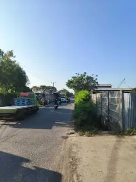 Sewa Tanah di Marunda - Tanah Padat!