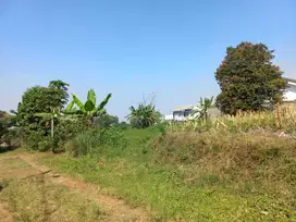 Tanah Murah Mahasiswa Malang Lingkungan Hidup & Ramai