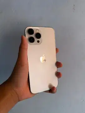 iPhone 13 Pro Max 256GB iBox